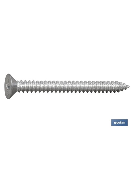 Pack 10 Tornillos Roscachapa Avellanados DIN 7982 M-4,8x19