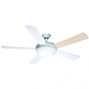 Ventilador AC Randy Blanco