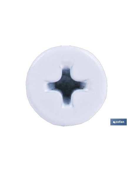 Pack de 500 vis autotaraudeuses extraplanes 4,2 x 23 mm blancs
