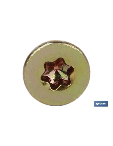 Pack de 200 vis DIN 7505A Torx T-15 M-35x45 pour aggloméré