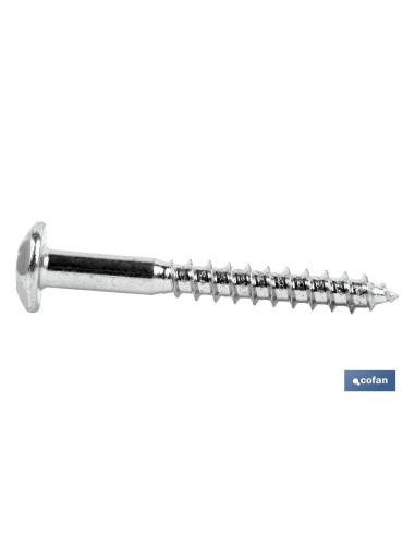 Pack de 100 vis inviolables Torx 30 M-7X70 en acier durci