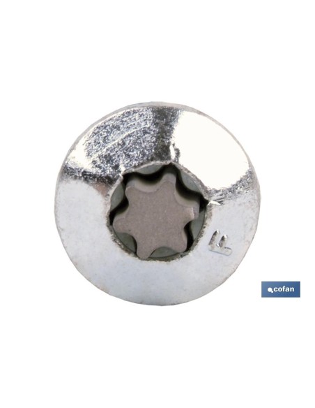 Pack de 100 vis inviolables Torx 30 M-7X70 en acier durci