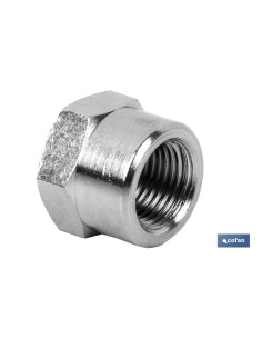 Pack of 5 Hexagonal Plugs with Female Thread R-1/4