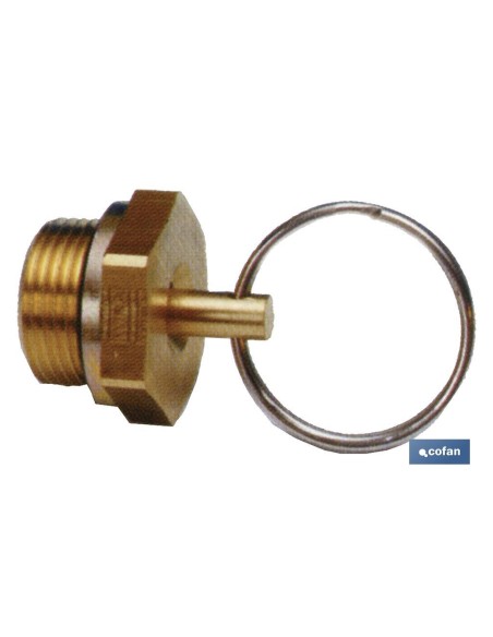 Purge Valve 22 x 1.5 for Compressed Air Tanks