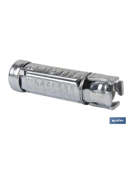 Pack de 100 unités corps d'ancrage acier HSP M-6x40