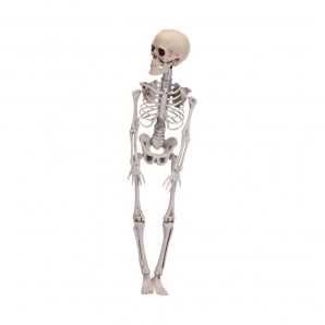 Figura scheletro di halloween 42cm EDM 71992 2