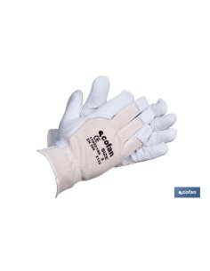 Pack of 12 mixed leather and cotton gloves T-9