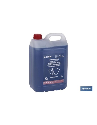 Lavaparabrezza antigelo -10º 5 L con asciugatura rapida