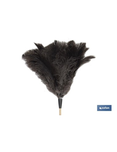 Plume d'autruche Classe A avec manche en bois