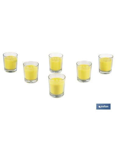 Pack mit 6 citronella Duftkerzen im klaren Glas 120 g