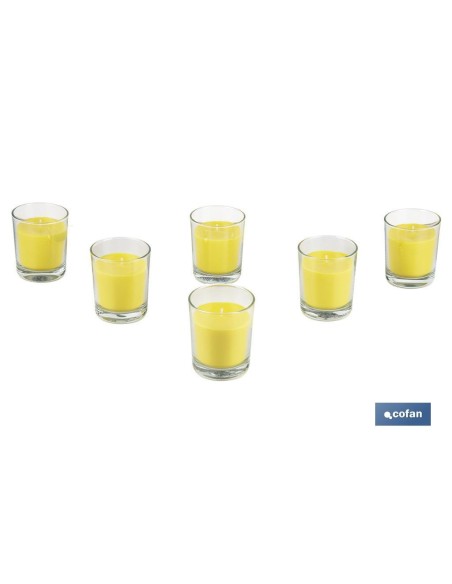 Pack mit 6 citronella Duftkerzen im klaren Glas 120 g