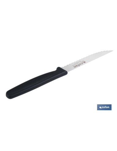 Pacote de 25 facas de cozinha microdentadas 10,5 cm