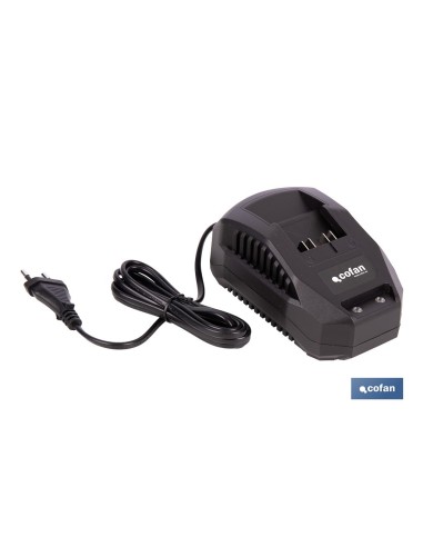 Pack Ladegerät 20 V 2.4 A und Li-ion Batterie 20 V 2.0 Ah