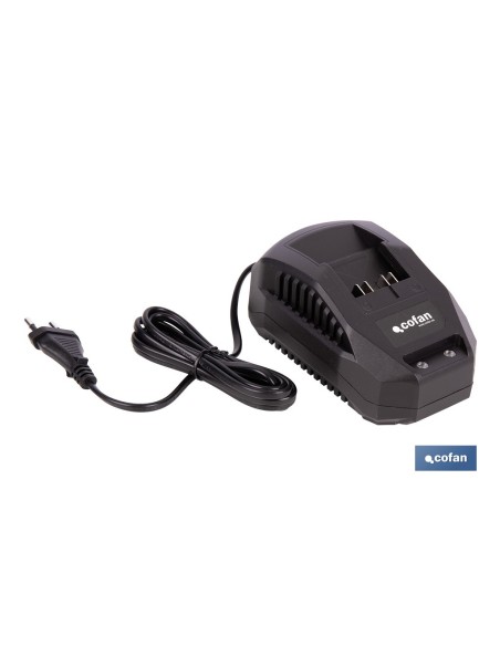 Pack Ladegerät 20 V 2.4 A und Li-ion Batterie 20 V 2.0 Ah