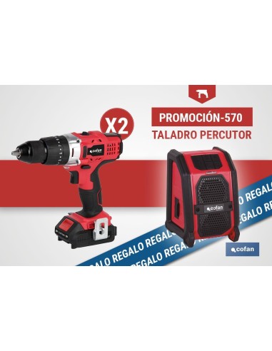 Pack de perceuse à percussion et haut-parleur Bluetooth 2 uds.