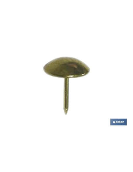 Pack of 12 nickel push pins 9.5 mm in blister