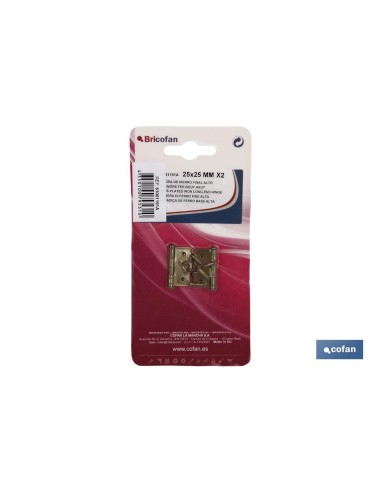 Confezione da 12 cerniere alte in ferro ottone 50x40 mm