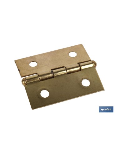 Confezione da 12 cerniere in ferro ottone 60x40 mm