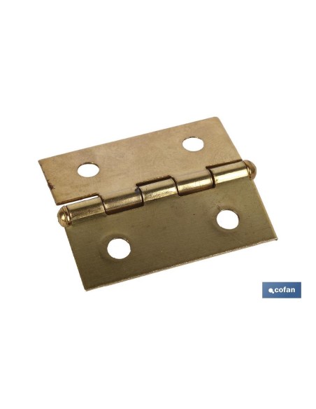 Pack of 12 brass-plated iron hinges 60x40 mm