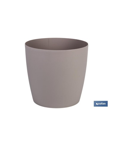 Pack de 6 pots Camélia couleur crème 30x28cm