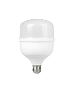 LED industrielle 50W E27 5000K 4500lm