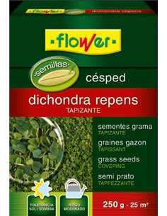 Semi di Prato Dichondra Repens 250g