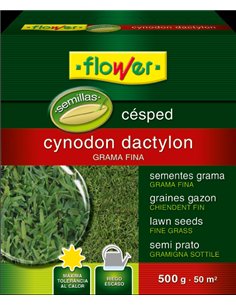 Cynodon dactylon Rasensamen 500g