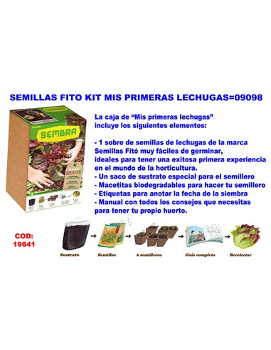 kit di semi per la coltivazione di lattughe a casa