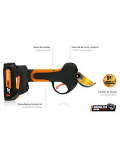 Electric Pruning Shears 21V with Lithium Battery and Case