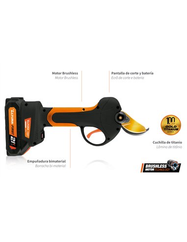 Sécateur Électrique 21V avec Batterie Lithium et Mallette