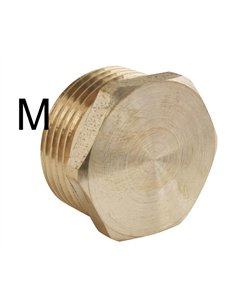 Brass Plug F290 Male Thread 1" - Steel