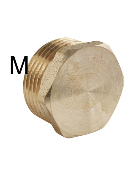 Brass Plug F290 Male Thread 1" - Steel