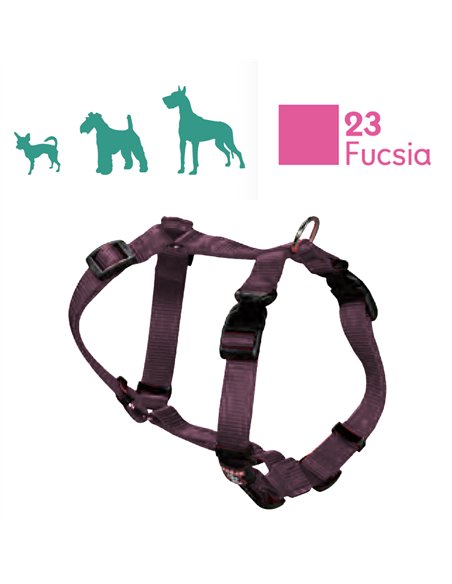 Basic nylon dog harness 2.5 cm for size 25