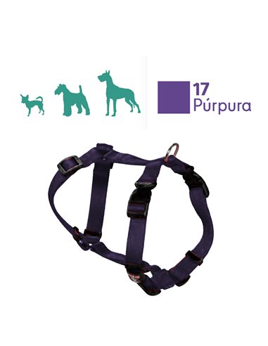 Basis Nylon Hundegeschirr 2 cm breit und Größe 20