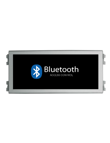MODULO BLUETOOTH NEARKEY V SKYLINE