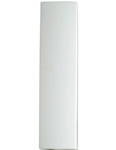 BRAZO CITYMAX CON BUCLE INDUCTIVO