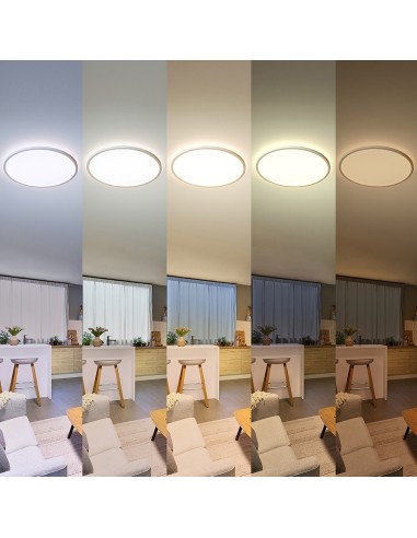 Plafond Rond Blanc Valen 32 W