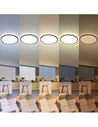 Plafond Rond Noir Valen 16W