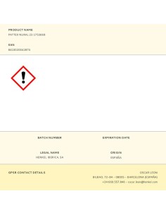 Fixation Quimique Fis Construction 300 ml 2