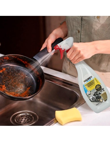 Désengraisseur Universel Arome Marseille 750 ml