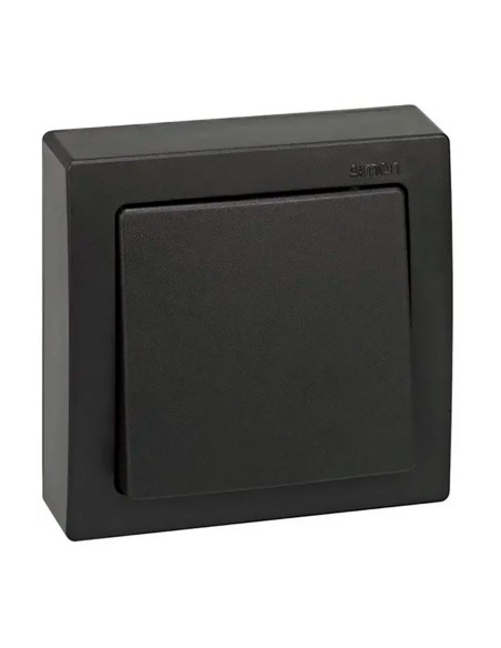 Interrupteur de croisement mural 10A 250V IP20 graphite
