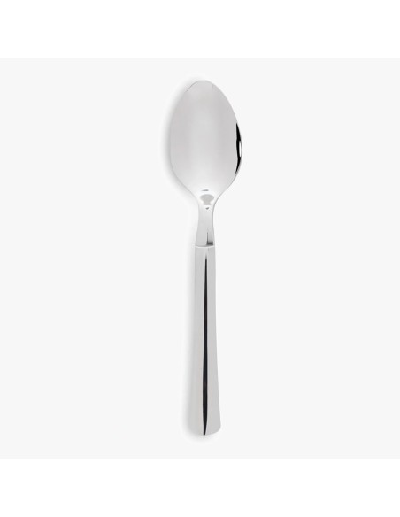 Cuillère de table monobloc en acier inoxydable 210 mm