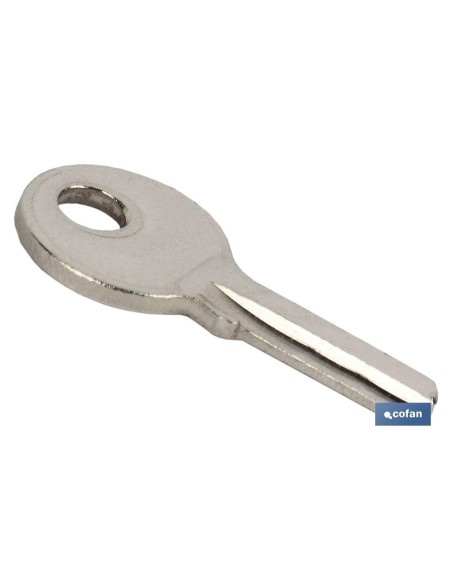 Chiave grezza per lucchetto 20 mm compatibile con riferimento 10403107