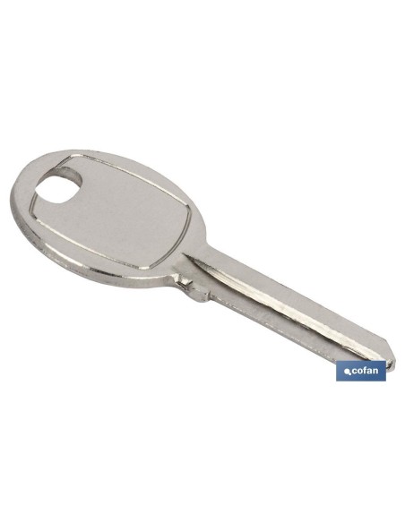 Chiave bruta per lucchetto 40 mm compatibile con modelli 10403110 e 10403128
