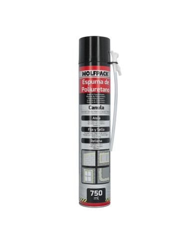 Mousse de polyuréthane 750 ml avec canule entry