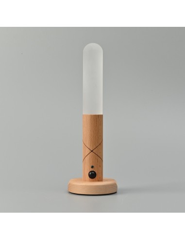 Portable LED Lamp with Motion Sensor 1W 100Lm