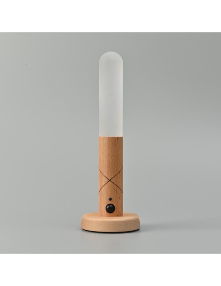 Portable LED Lamp with Motion Sensor 1W 100Lm