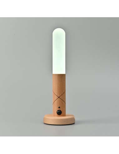 Portable LED Lamp with Motion Sensor 1W 100Lm