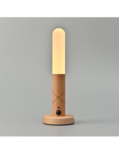 Portable LED Lamp with Motion Sensor 1W 100Lm