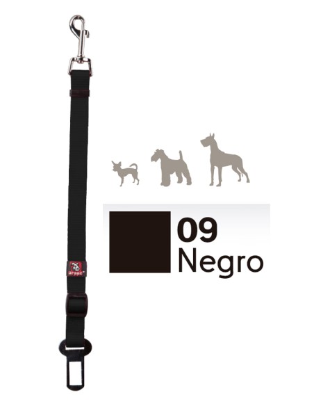 Nylon dog leash 2 cm wide